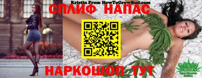 таблы Камышлов