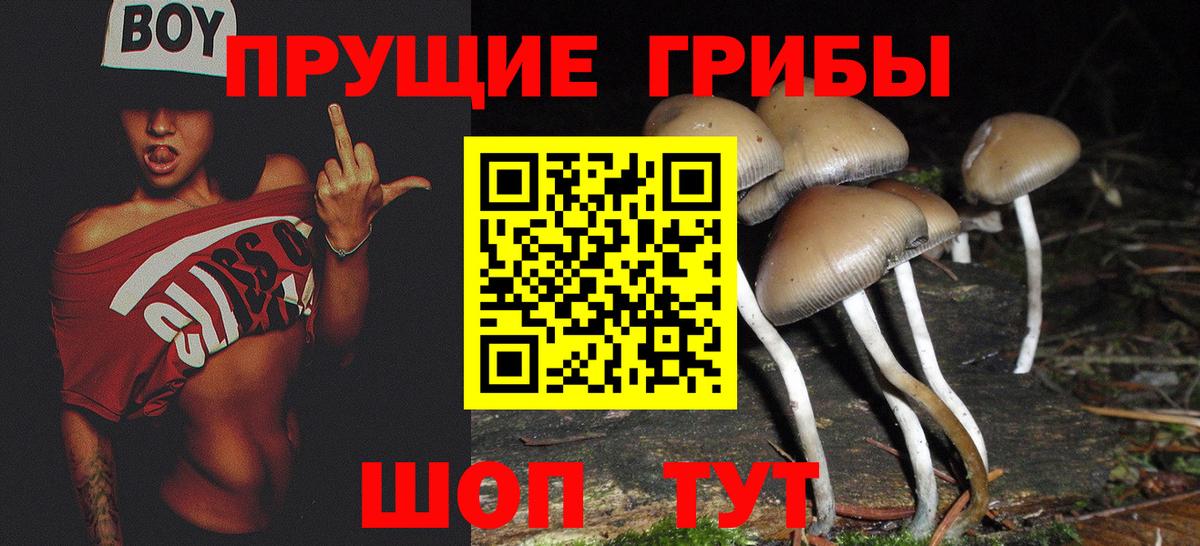 купить закладку  Вход с VPN  Бугуруслан  Псилоцибиновые грибы GOLDEN TEACHER 